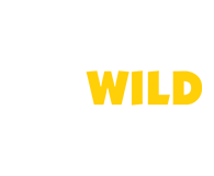 GoWild Casino Mobile App